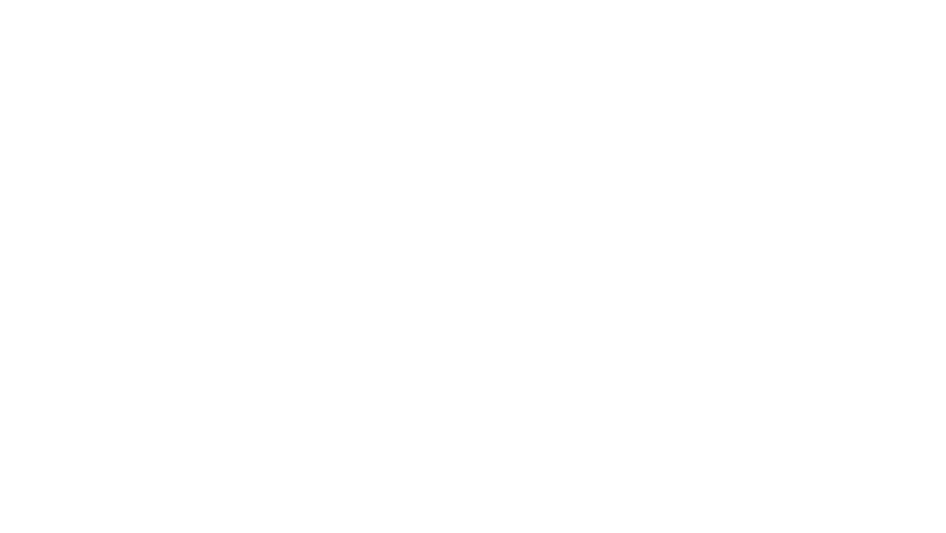 NATIONAL TREASURE